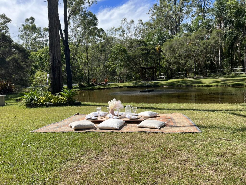 Pop-up picnic